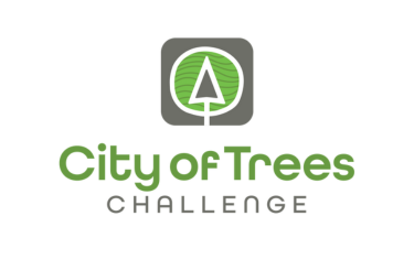 City of Trees